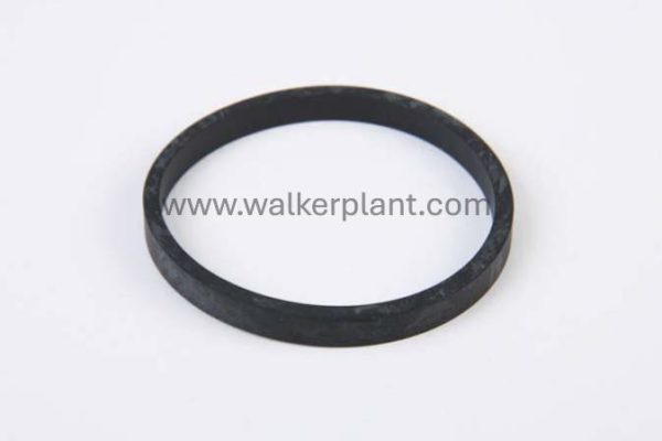 Volvo Sealing Ring